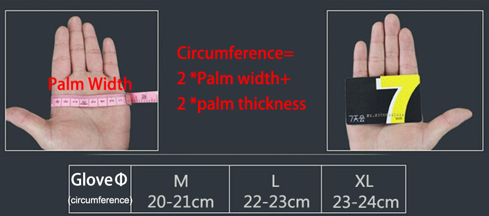 Gym Weights Dumbbells Weightli - Crossfit Training Gear recensione e prezzo