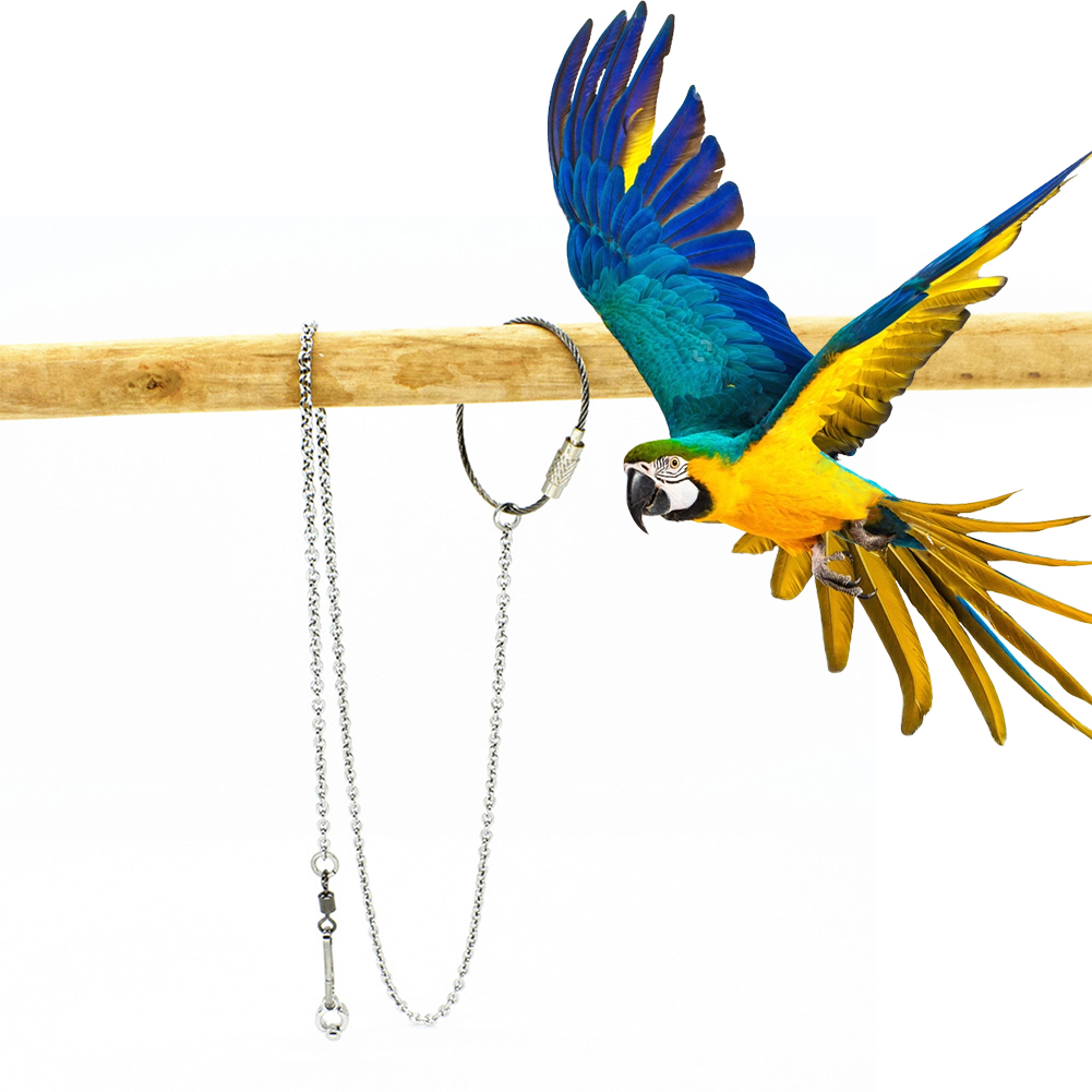 1Pcs Pet Parrot Leg Ring Ankle - Gymnastic Ring Wood recensione e prezzo
